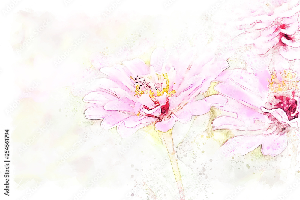 Abstract colorful flower blooming watercolor illustration painting background.