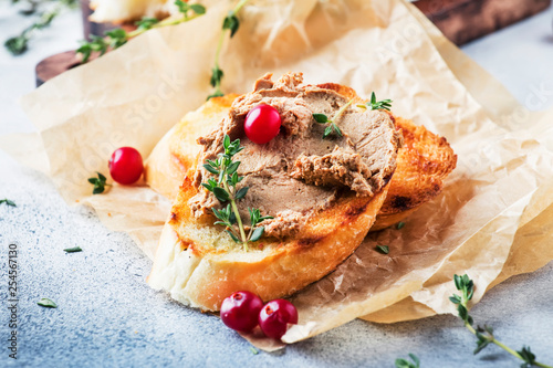 Delicious pate of chicken liver and meat on grilled toasts with cranberries and thyme, gray kitchen table background, space for text, selective focus