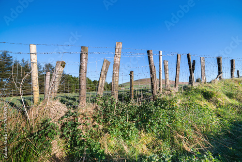 Barbed wire fence in Irish fields