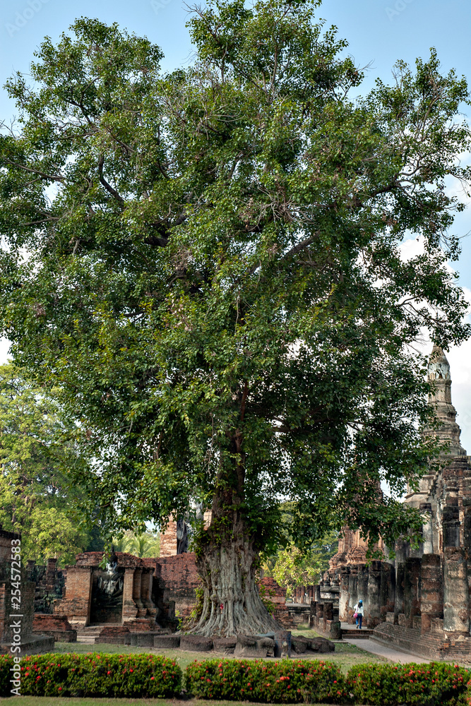 Sukhothai park in Thailand