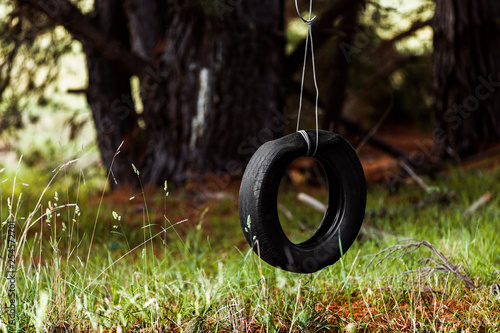 Tyre swing hanging quietly in forest.