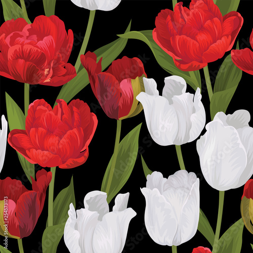 Seamless pattern of red and white tulip flowers background. Vector set of blooming floral for holiday invitations, greeting card and fashion design.