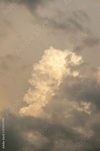 Cumulus Cloud in the Evening Sun Light