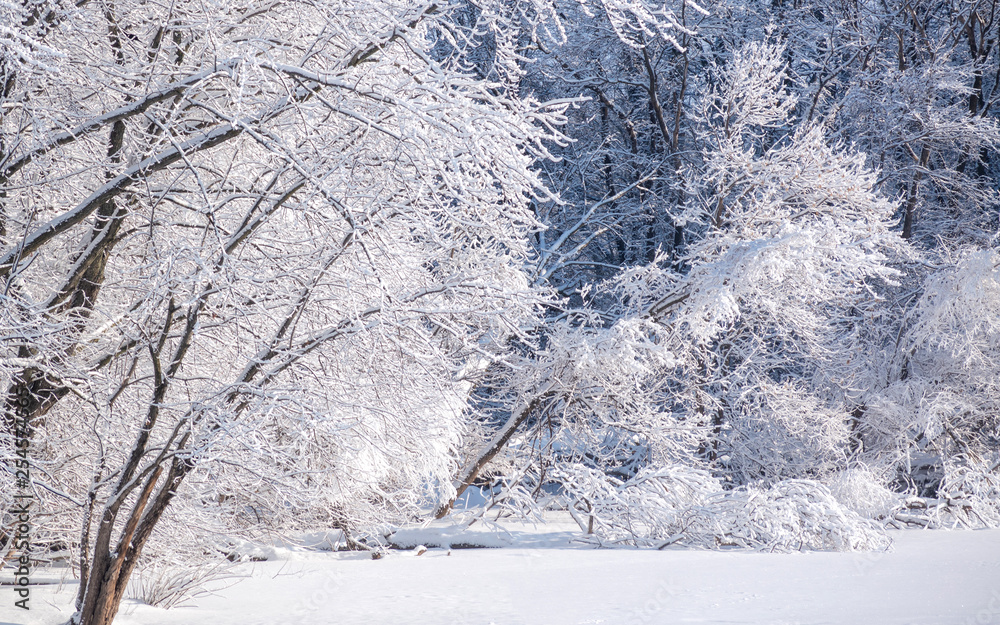 Snow covered forests and lakes in winter Snow covered forests and lakes in winter