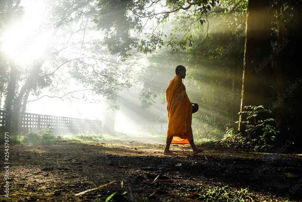 Buddhist monk walking in forest sunset light with fog Stock Photo