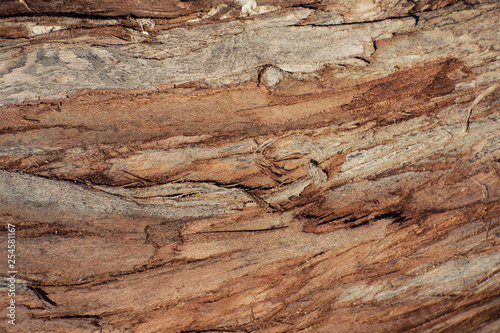 Wooden background pattern.