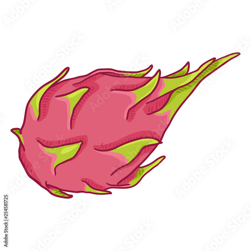 Vector Cartoon Whole Dragon Fruit Pitahaya