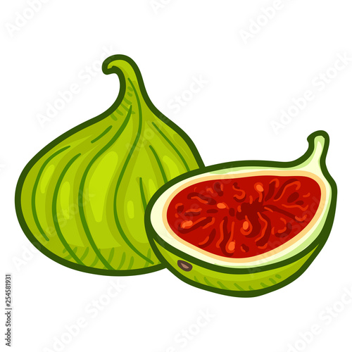 Vector Cartoon Fresh Green Fig Fruit