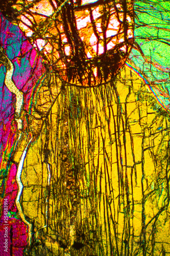 Abstract micrograph of olivine pyroxenite viewed with a polarizing microscope.