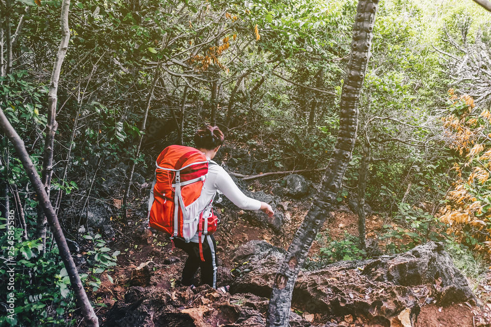 Tourist trekking women with backpack travel in tropical forest