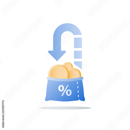 Return on investment, budget planning, cash loan, earn more money, income growth, long term savings account, pension fund payment