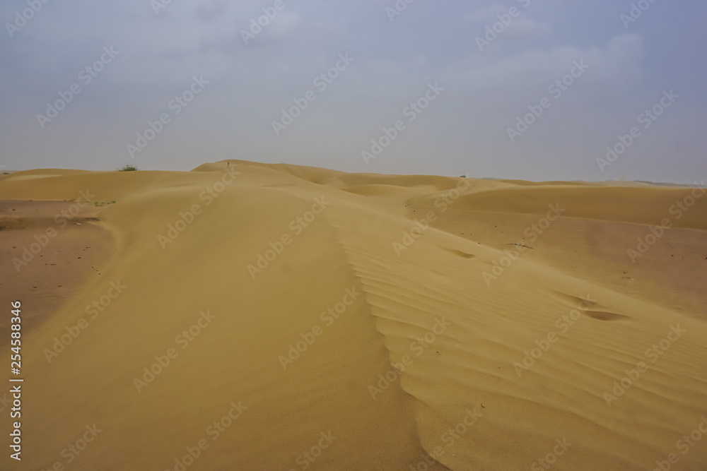 Sand dunes of the desert in Rajasthan, India Sand dunes of the desert in Rajasthan, India
