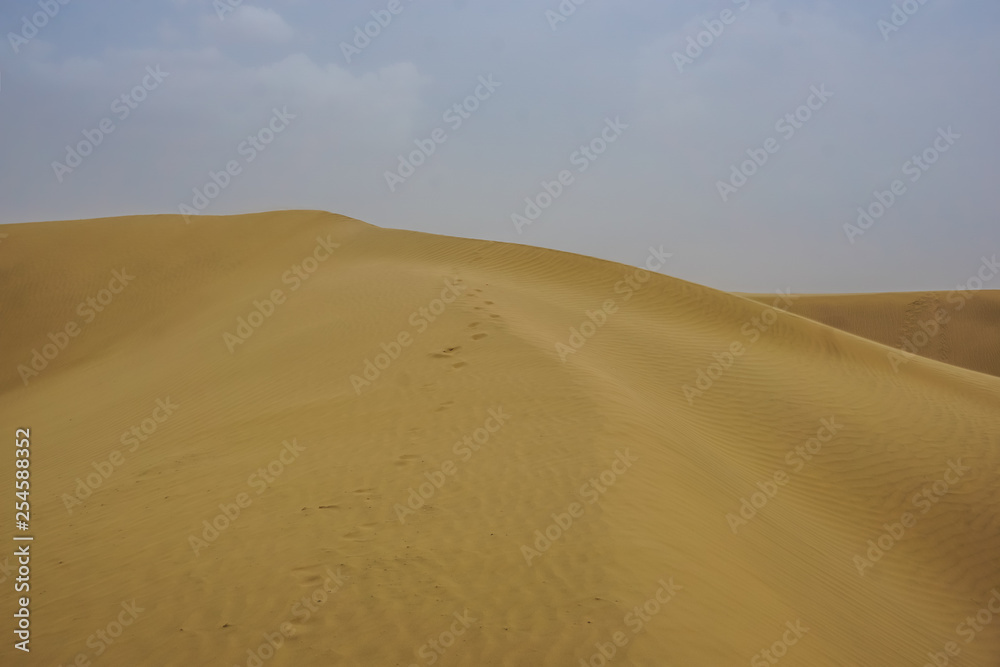 Sand dunes of the desert in Rajasthan, India