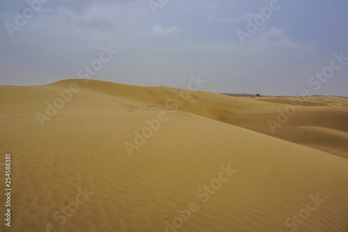 Sand dunes of the desert in Rajasthan  India