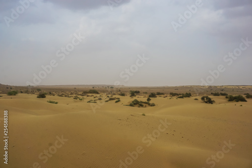 Sand dunes of the desert in Rajasthan  India