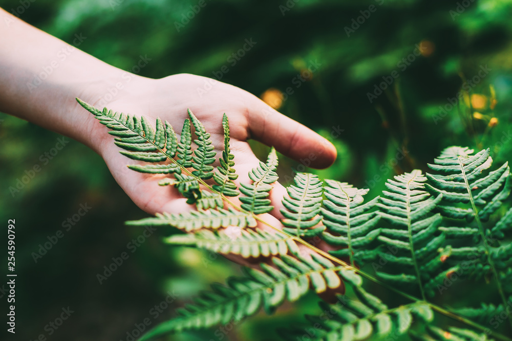 Young Girl Touching Holding Fern Leaf In Summer Park Forest. Close Up Of Female Hand. Concept Of Nature, Environment Care