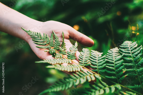 Obraz na płótnie Young Girl Touching Holding Fern Leaf In Summer Park Forest. Close Up Of Female Hand. Concept Of Nature, Environment Care w salonie