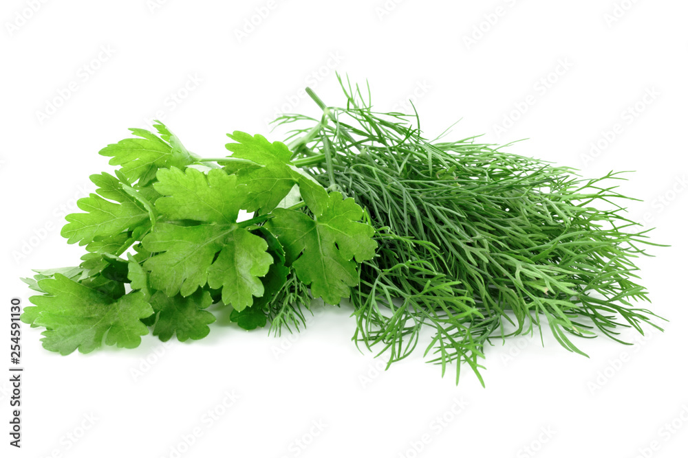 Fototapeta premium Parsley with dill