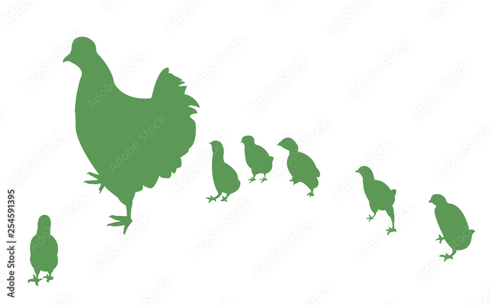 Fototapeta premium chicken family silhouette vector