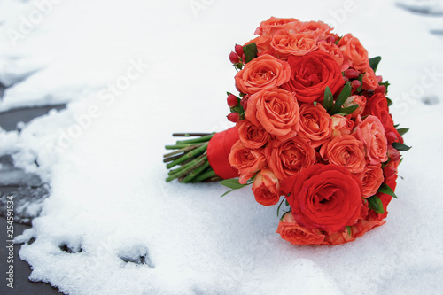  roses in the snow
