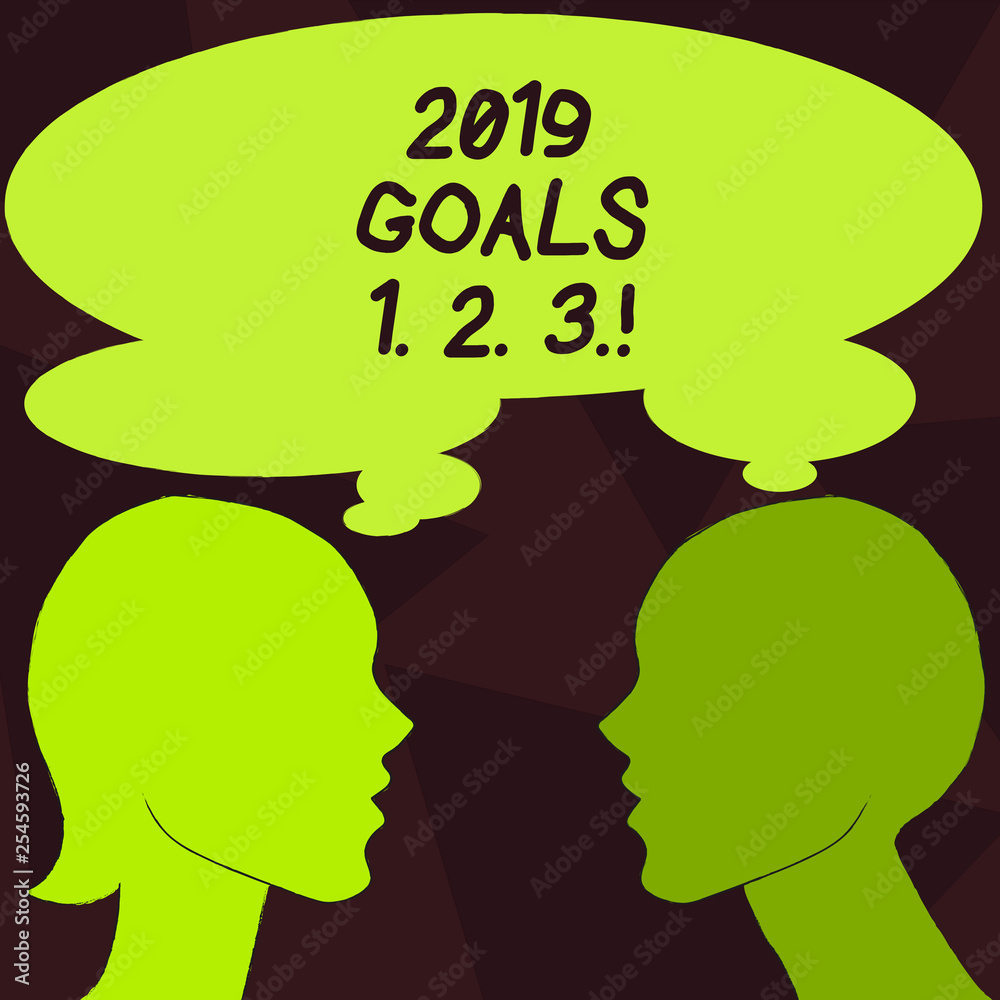 Handwriting text 2019 Goals 1 2 3. Conceptual photo Resolution Organize Beginnings Future Plans