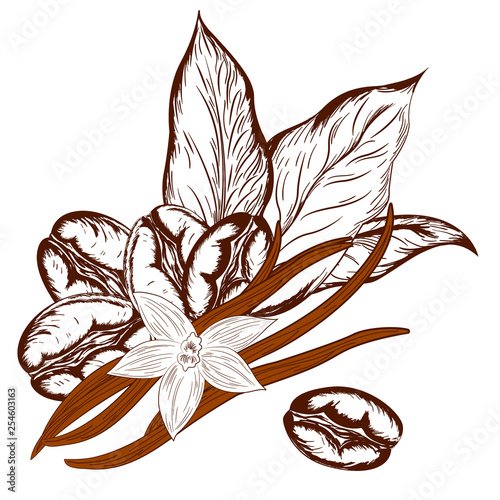 logo coffee and vanilla
