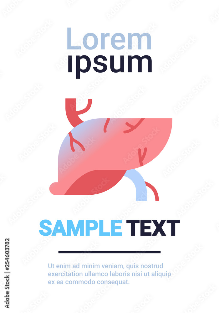 Obraz premium liver icon human body organ anatomy healthcare medical concept infographic template vertical copy space white background