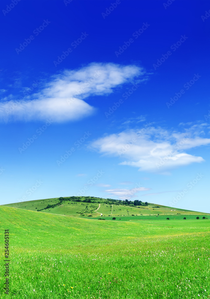 Fototapeta premium Idyllic view, green hills and blue sky with white clouds