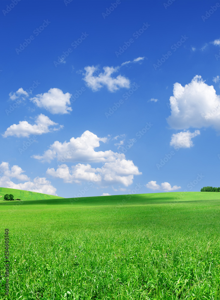 Fototapeta premium Idyllic view, green hills and blue sky with white clouds