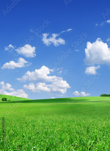 Idyllic view, green hills and blue sky with white clouds