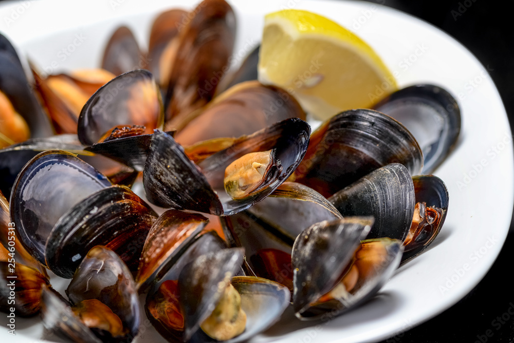 mussels in a bowl