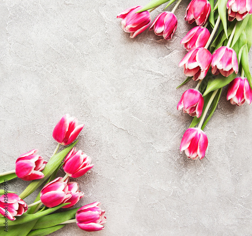 Pink spring tulips