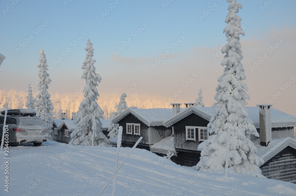 house in the mountains