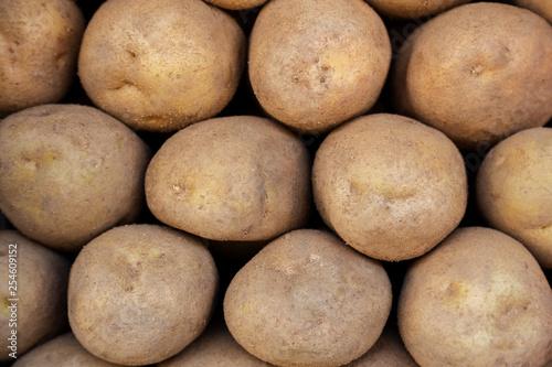 Potatoes background. Top view  closeup