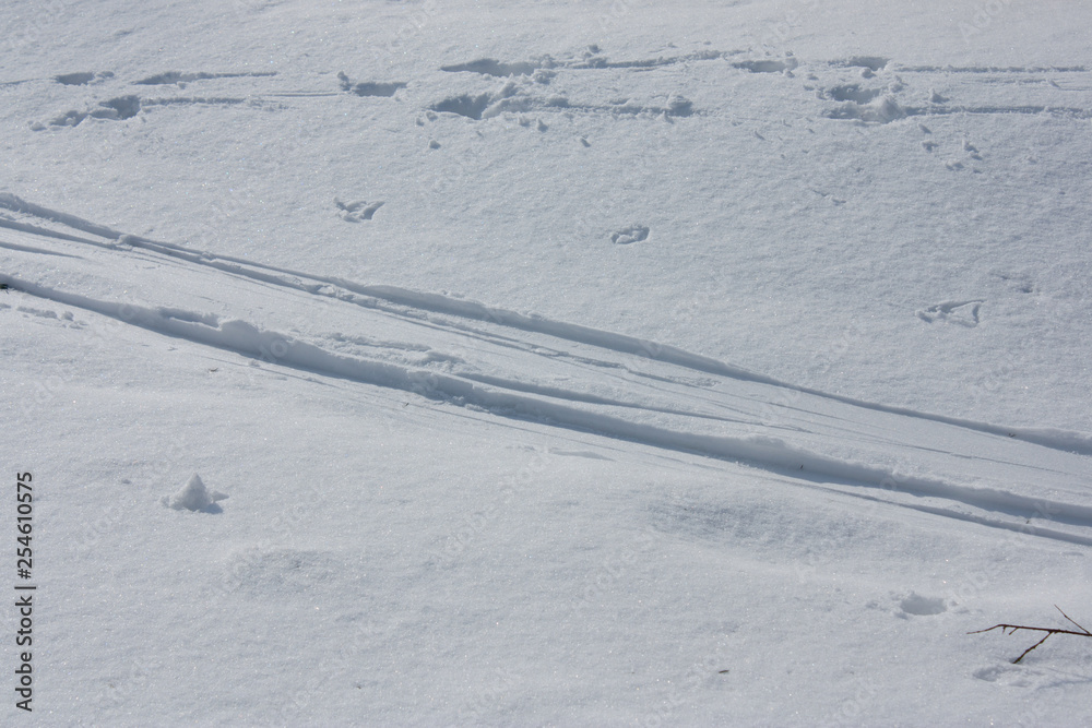 a fresh trail of skis on the snow