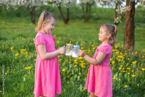 Two sisters in pink dresses having fun and playing together  drinking milk shake from glass bottles outdoors in blossom garden 