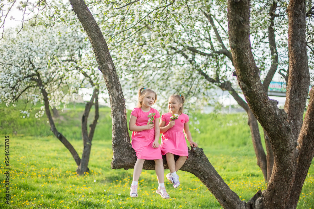 Fototapeta premium Outdoor portrait of two cheerful pretty girls playing in summer green garden in blossom. Childhood, summer, children games concept