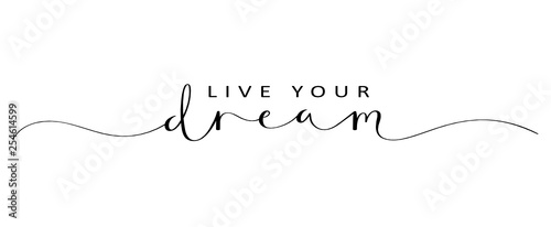 LIVE YOUR DREAM brush calligraphy banner photo