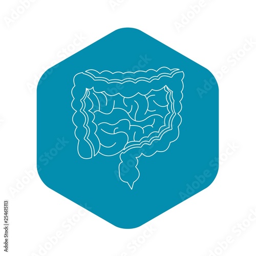 Intestines icon. Outline illustration of intestines vector icon for web