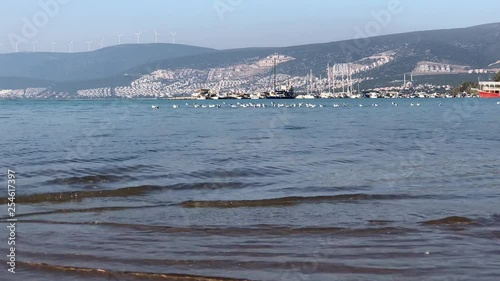 Seagulls sitting on the water near harbour.