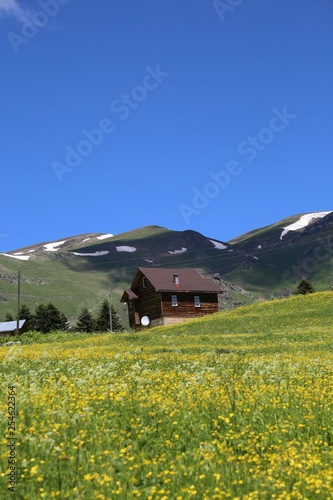 flowering meadows and village landscapes.savsat/artvin/turkey © murat