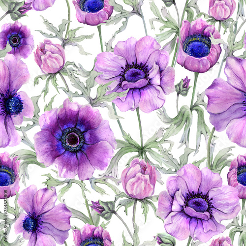 Beautiful anemone flower with green leaves on white background.  Seamless flo...
