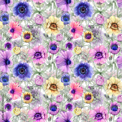Beautiful colorful anemone flower with green leaves on white background.  Sea...