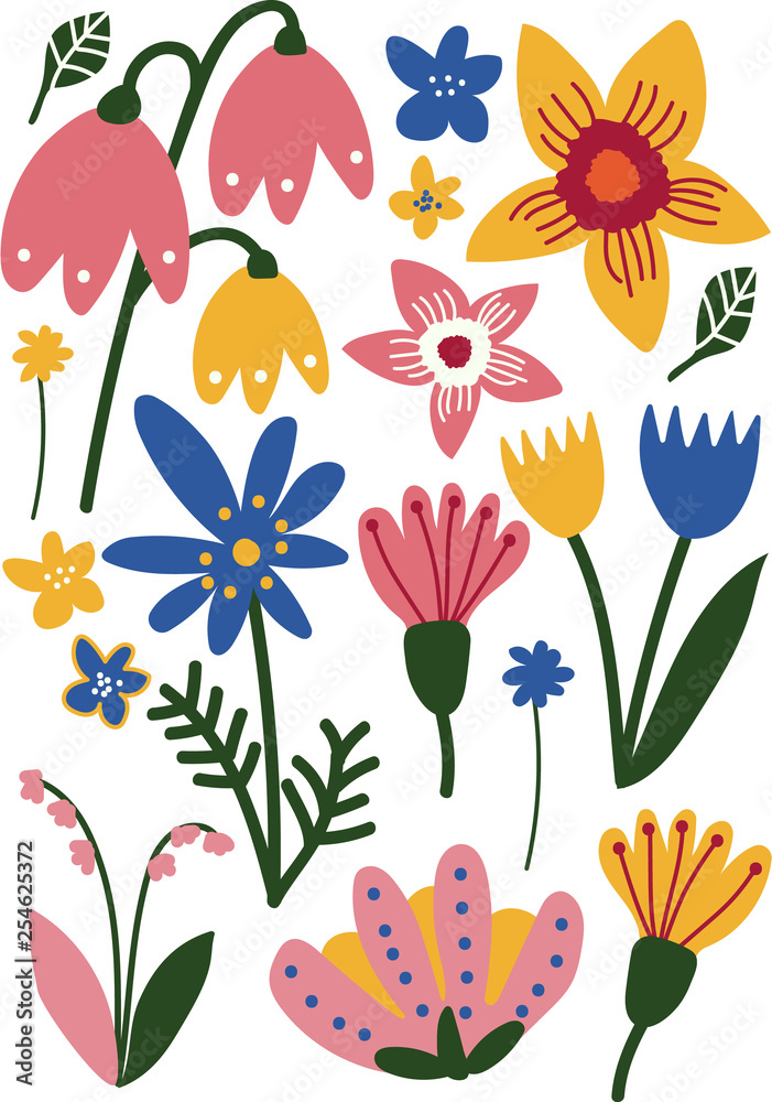 Fototapeta Piękne kolorowe dzikie i kwitnące kwiaty ogrodowe, kwiatowy wzór, sezonowy wystrój ilustracji wektorowych