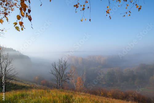 Foggy autumn morning in the country