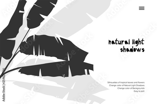 Abstract banner with black tropical leaves shadow isolated on white background. Vintage style Presentation template