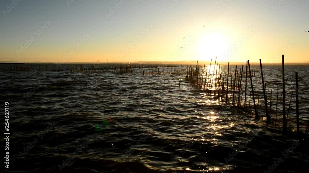 Calm in the valencia lagoon at sunset