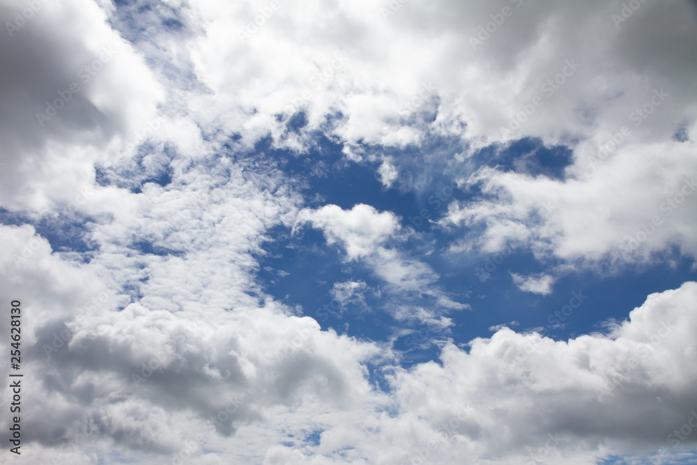 Fototapeta premium 青い空と白い雲