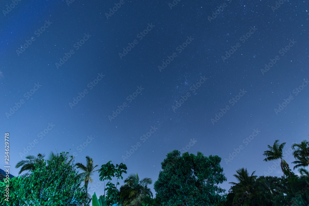 Naklejka premium 南十字星