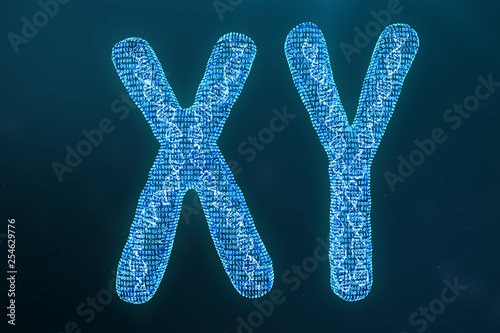 XY digital, artificial chromosomes with DNA carrying the genetic code. Genetics concept, artificial intelligence concept. Binary code in the human genome, future, genetic mutations. 3D illustration